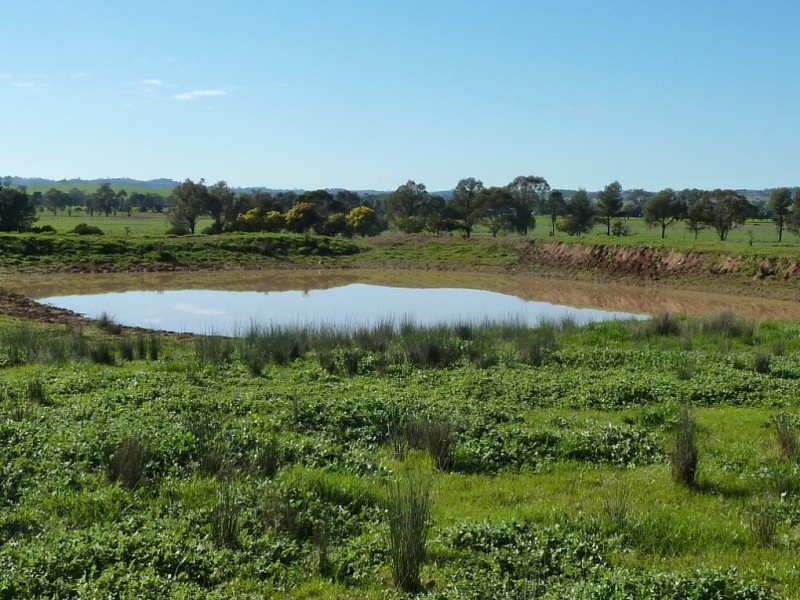 1660 Sturt Highway, Wagga Wagga NSW 2650