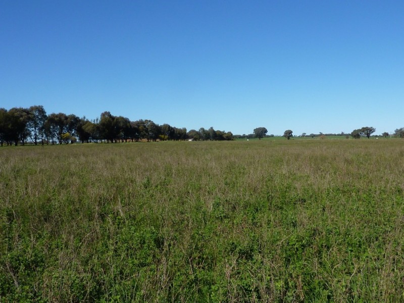 1660 Sturt Highway, Wagga Wagga NSW 2650