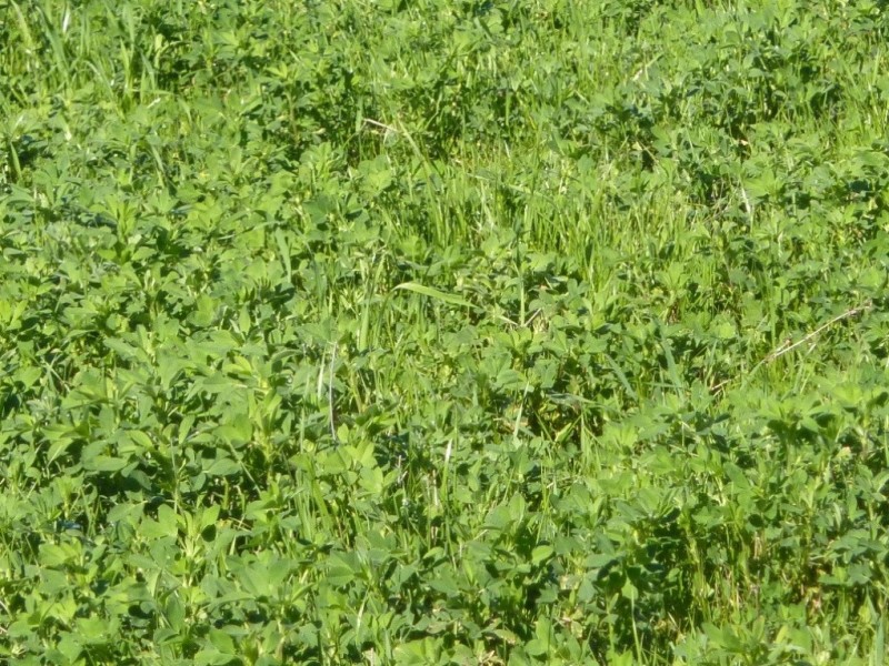 1660 Sturt Highway, Wagga Wagga NSW 2650