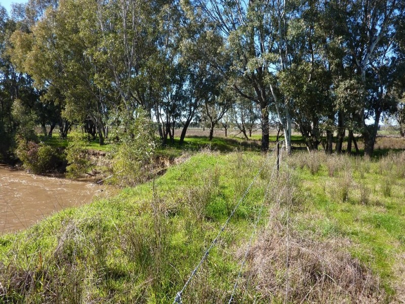 1660 Sturt Highway, Wagga Wagga NSW 2650