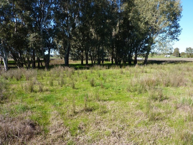1660 Sturt Highway, Wagga Wagga NSW 2650