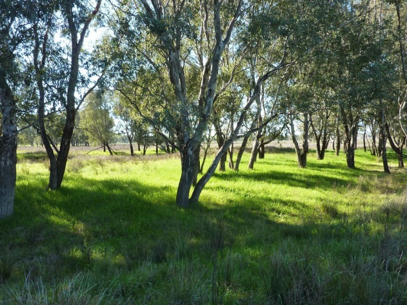 1660 Sturt Highway, Wagga Wagga NSW 2650