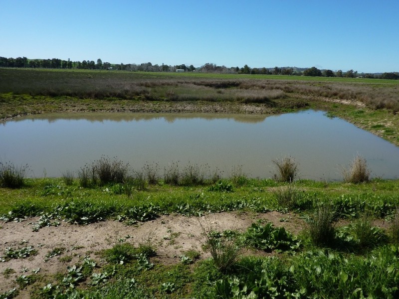 1660 Sturt Highway, Wagga Wagga NSW 2650