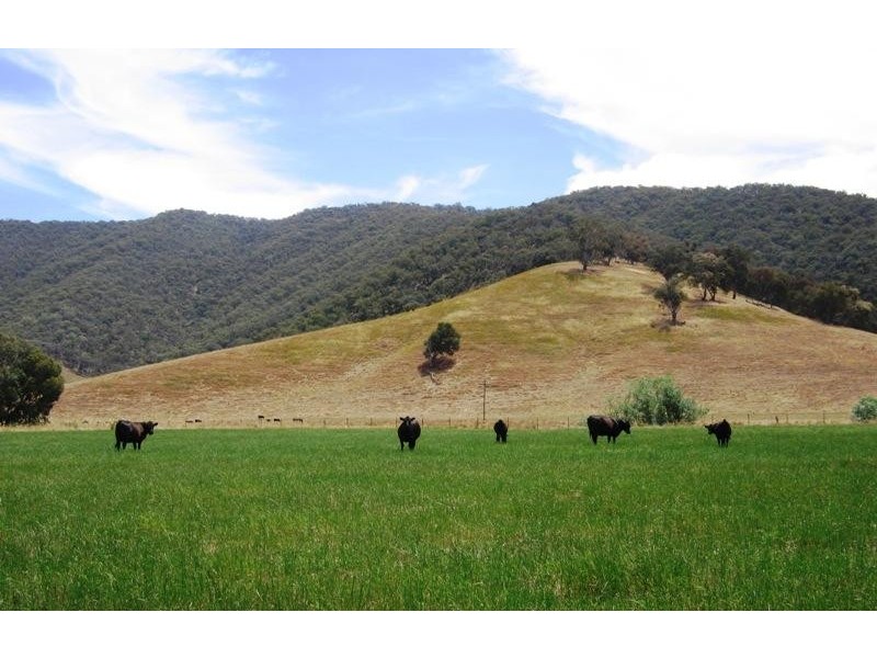 “Ogilvies” Holbrook Road, Jingellic NSW 2642