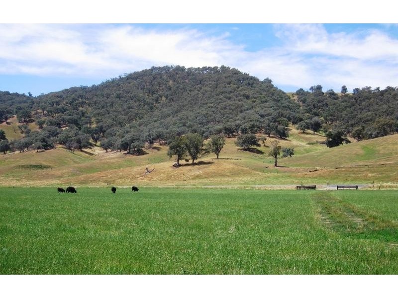 “Ogilvies” Holbrook Road, Jingellic NSW 2642