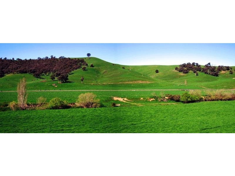 “Ogilvies” Holbrook Road, Jingellic NSW 2642