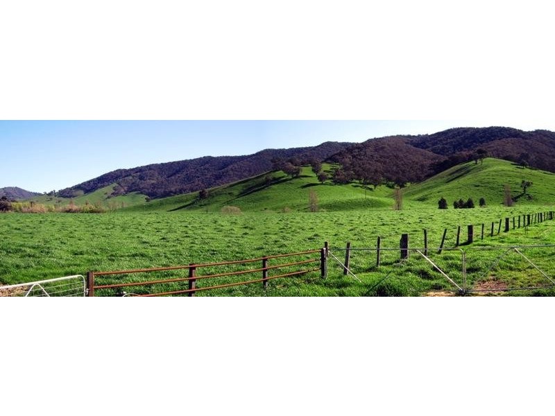 “Ogilvies” Holbrook Road, Jingellic NSW 2642