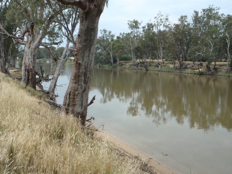 118 Boggy Creek Road, Deniliquin NSW 2710
