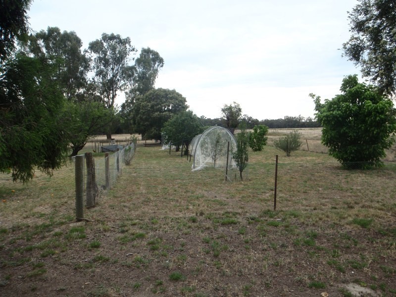 118 Boggy Creek Road, Deniliquin NSW 2710