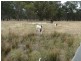 118 Boggy Creek Road, Deniliquin NSW 2710