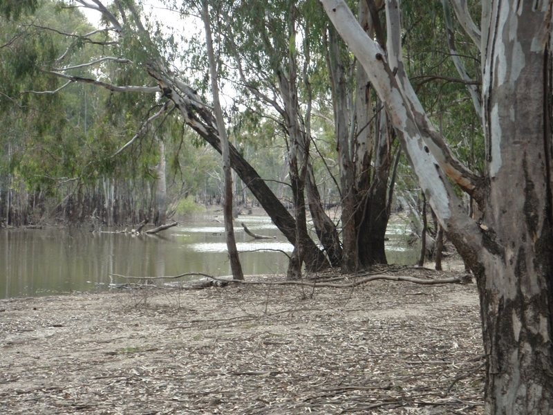 118 Boggy Creek Road, Deniliquin NSW 2710