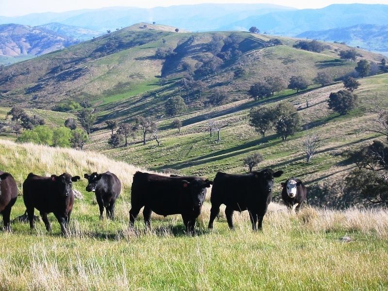Bethanga VIC 3691