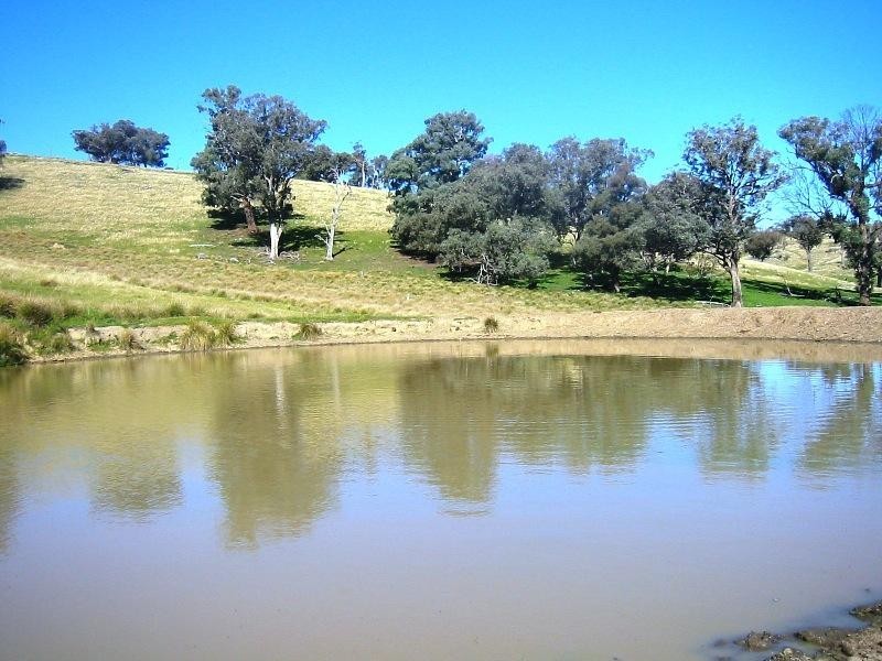 Bethanga VIC 3691