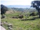 Bethanga VIC 3691
