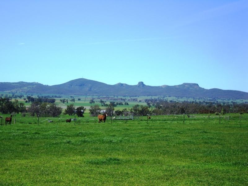 - Gerogery West Road, Gerogery NSW 2642