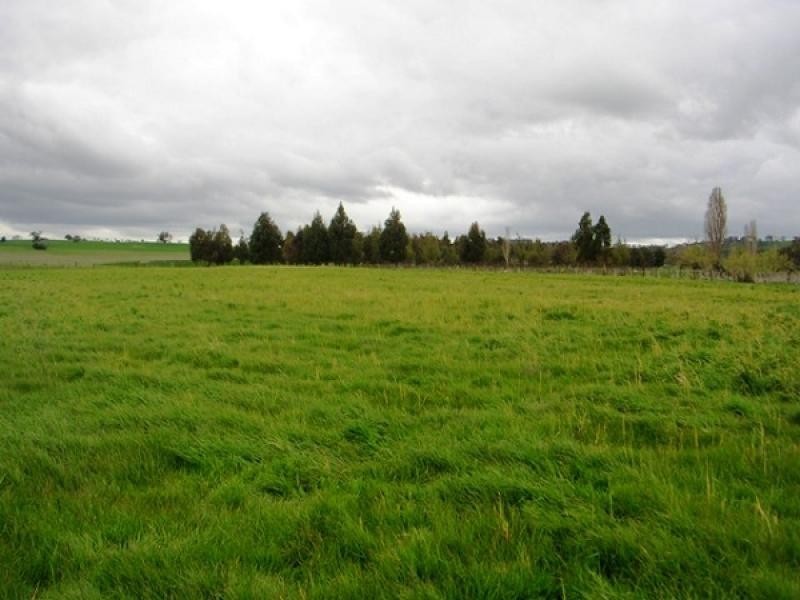Hopefield Lane, Boorowa NSW 2586