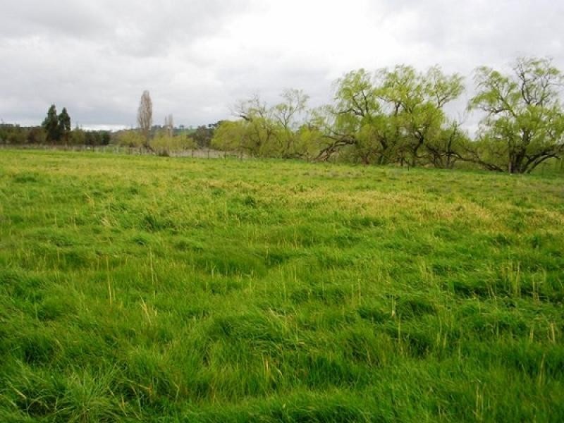 Hopefield Lane, Boorowa NSW 2586