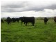 Hopefield Lane, Boorowa NSW 2586