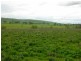 Hopefield Lane, Boorowa NSW 2586