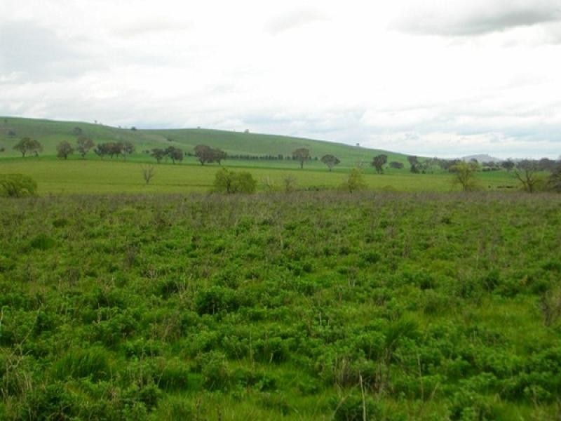 Hopefield Lane, Boorowa NSW 2586