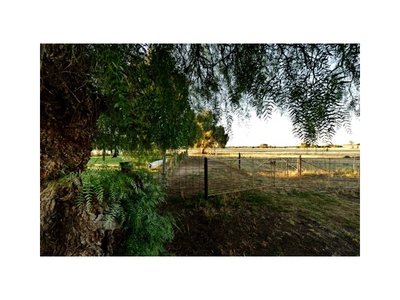 252 Irrigation way, Narrandera NSW 2700