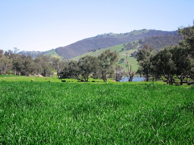 Thologolong VIC 3691