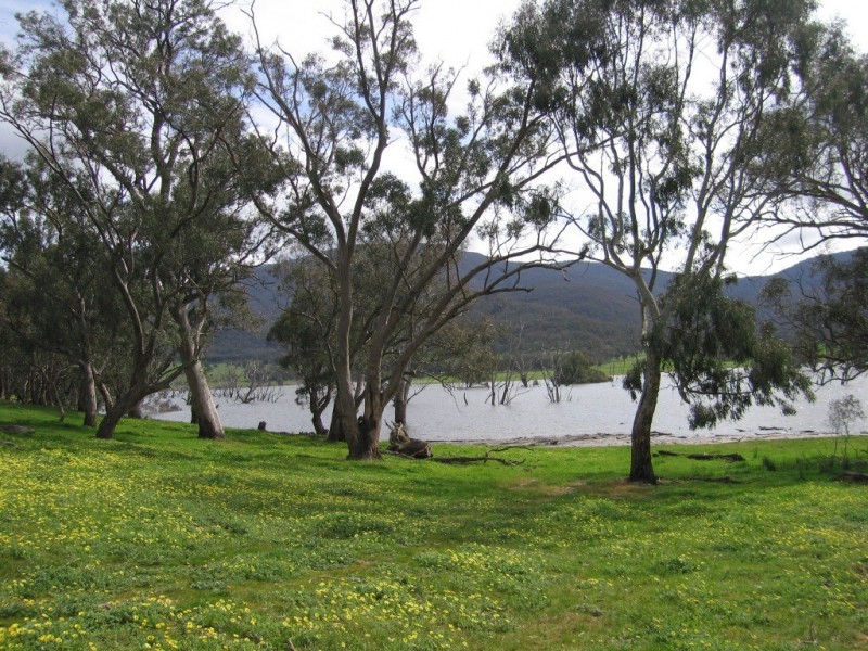 Thologolong VIC 3691