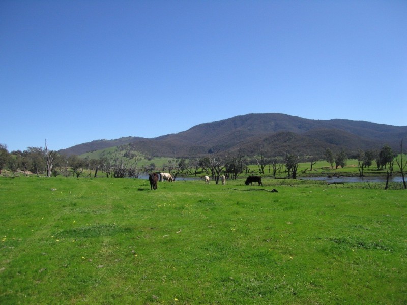 Thologolong VIC 3691