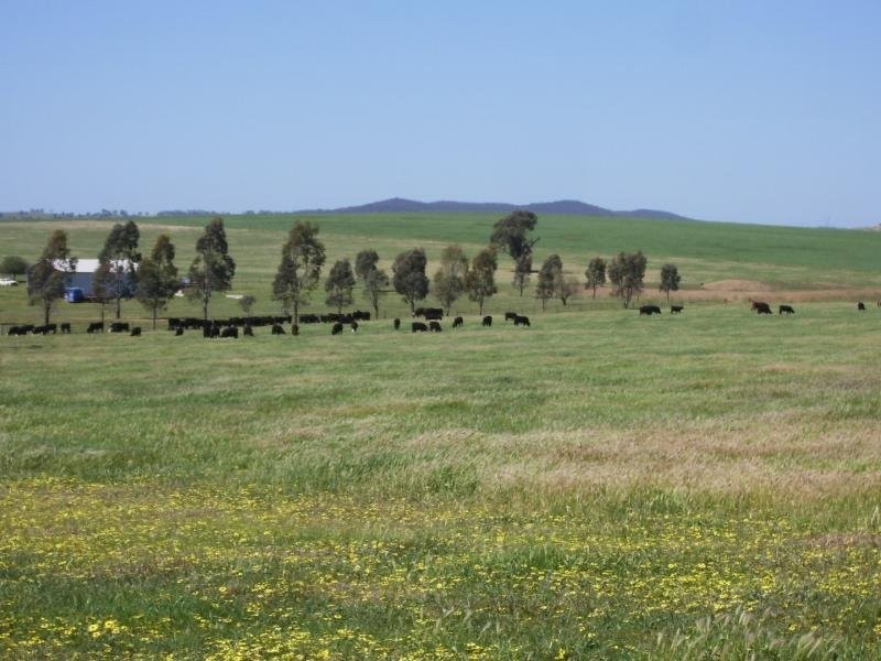 - N/ A Oxley Bridge Road, Wagga Wagga NSW 2650
