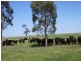 - N/ A Oxley Bridge Road, Wagga Wagga NSW 2650