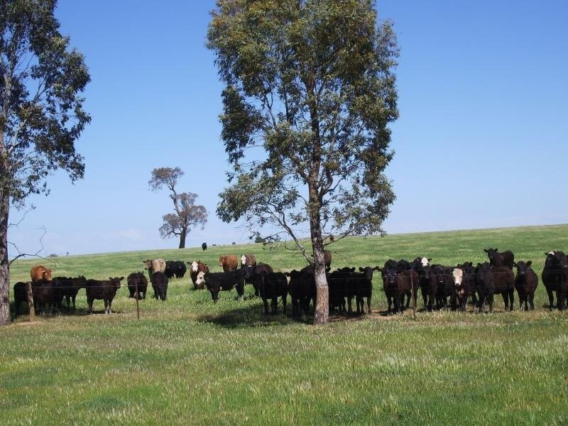 - N/ A Oxley Bridge Road, Wagga Wagga NSW 2650