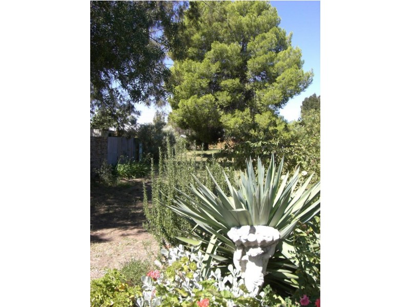 41 Ivor Street, Henty NSW 2658