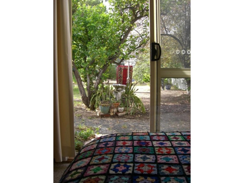 41 Ivor Street, Henty NSW 2658