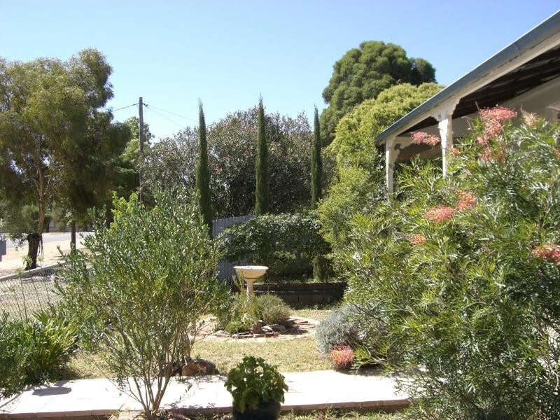 41 Ivor Street, Henty NSW 2658