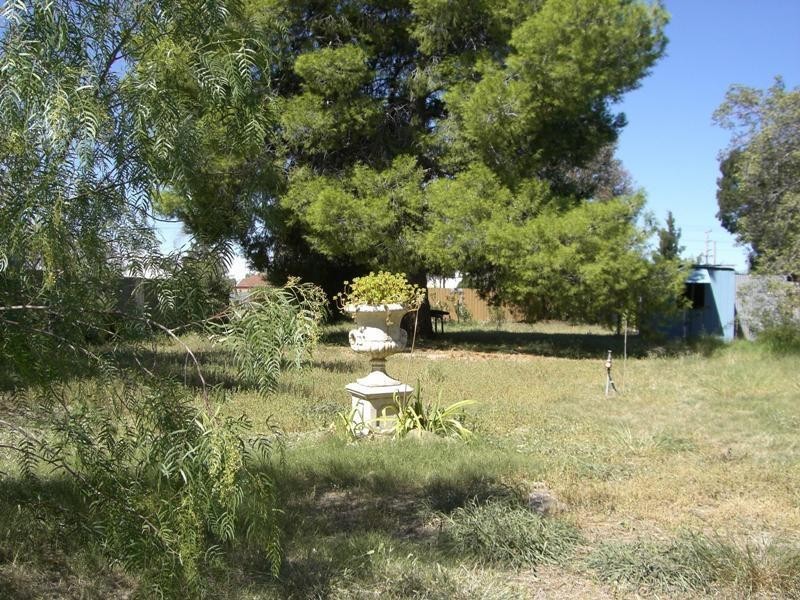 41 Ivor Street, Henty NSW 2658