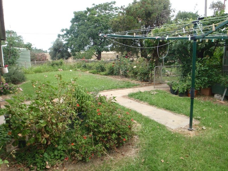 Jerilderie Road, Berrigan NSW 2712