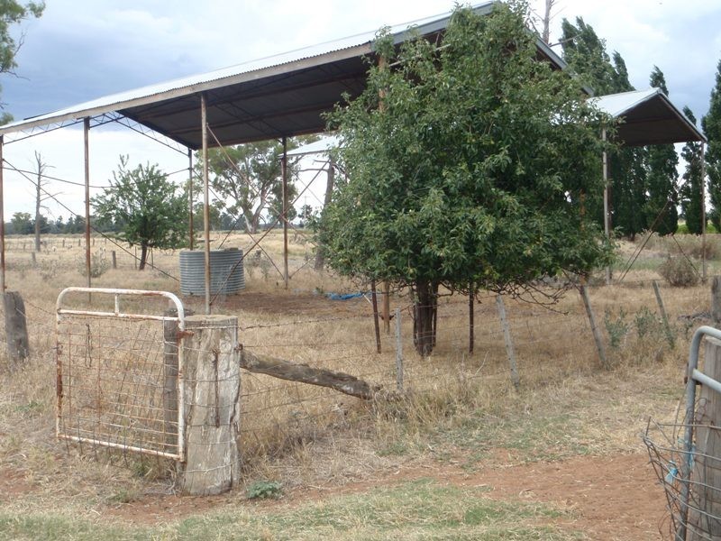 Jerilderie Road, Berrigan NSW 2712