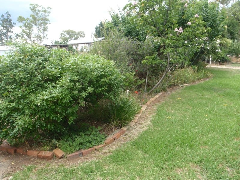 Jerilderie Road, Berrigan NSW 2712