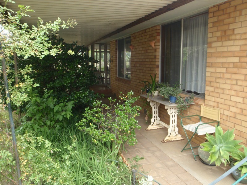Jerilderie Road, Berrigan NSW 2712