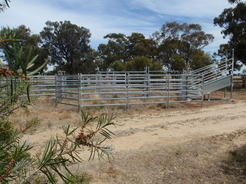 1 Walliston Road, Deniliquin NSW 2710