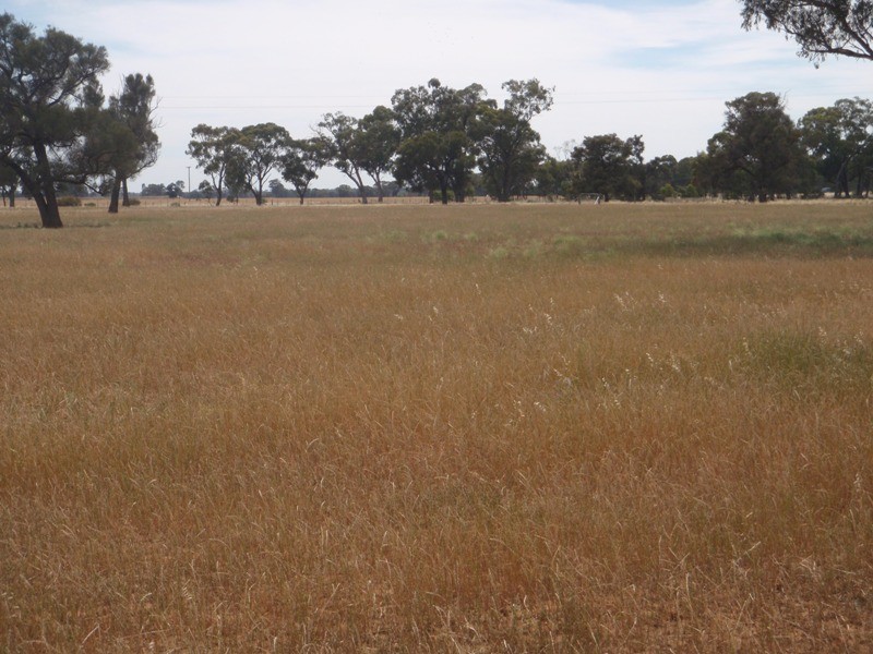 1 Walliston Road, Deniliquin NSW 2710