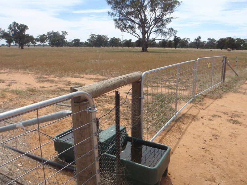 1 Walliston Road, Deniliquin NSW 2710