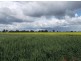 Berrigan NSW 2712