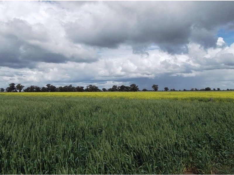 Berrigan NSW 2712