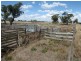 Berrigan NSW 2712