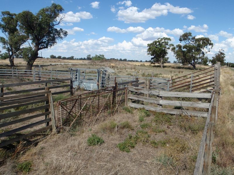 Berrigan NSW 2712