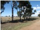 Berrigan NSW 2712