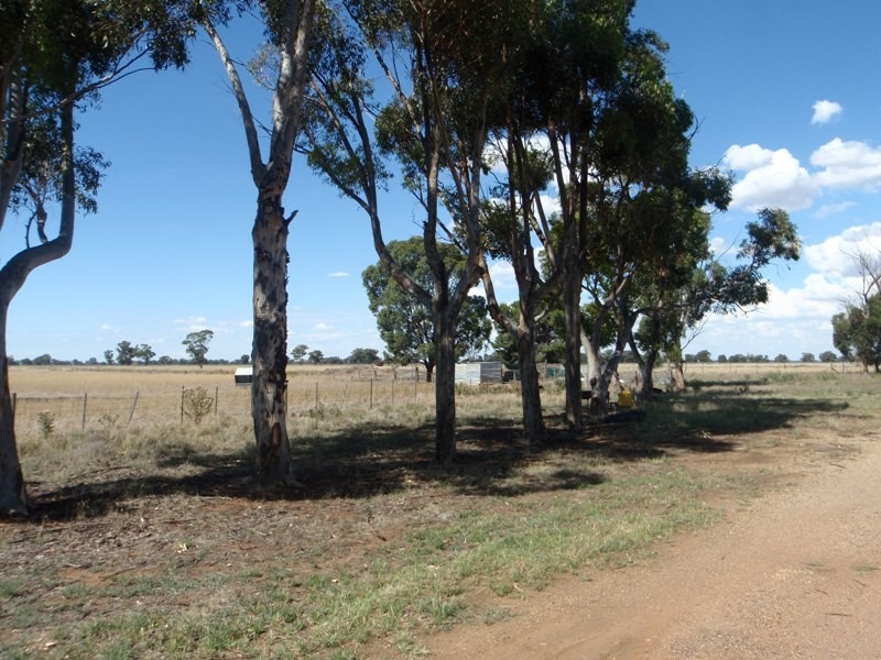 Berrigan NSW 2712