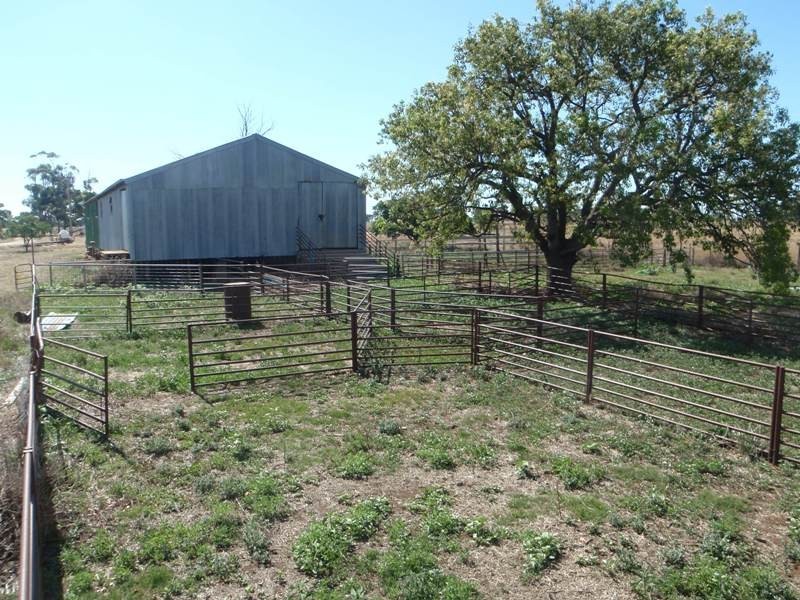 Berrigan NSW 2712