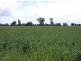 Berrigan NSW 2712